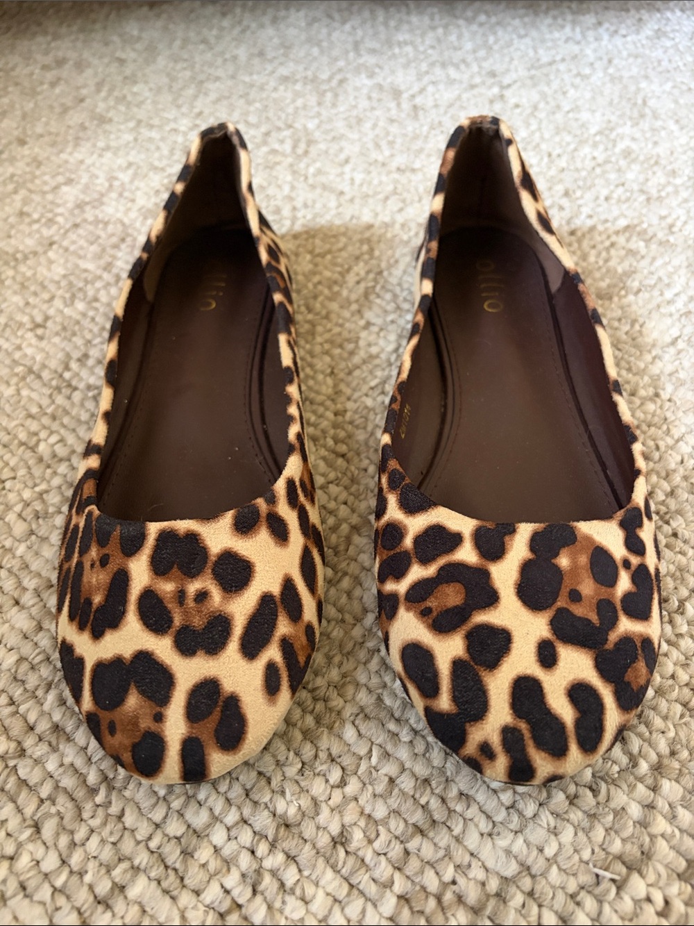 Ollio Leopard-Print Ballet Flats in Brown and Black
